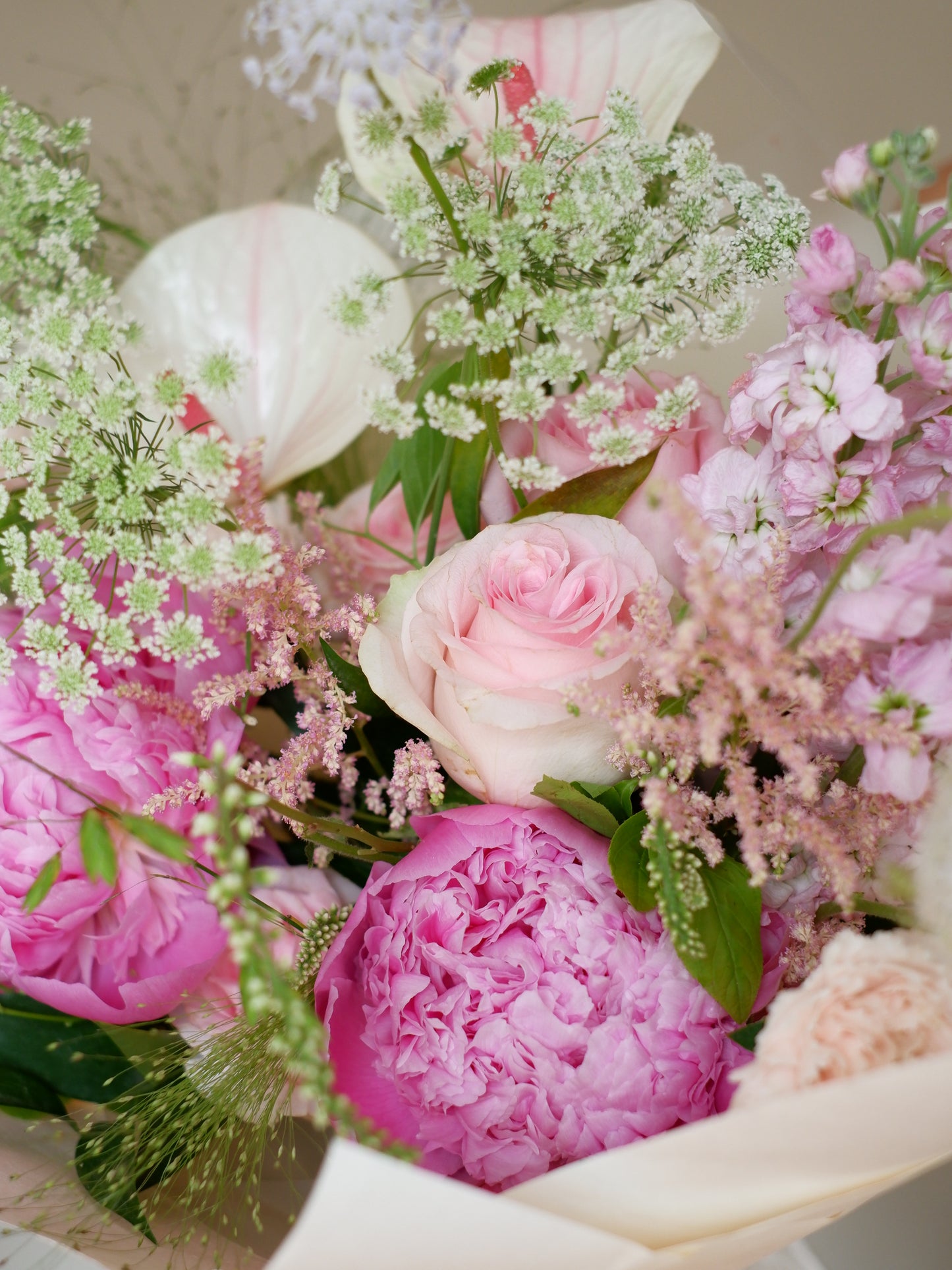 Blushing Beauty - Pink Peony